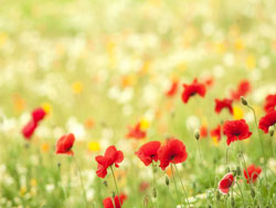 有關工業手繪的書籍網站推薦